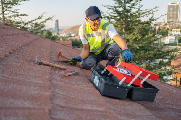 Best Historical Building Siding Restoration  in Saxapahaw, NC